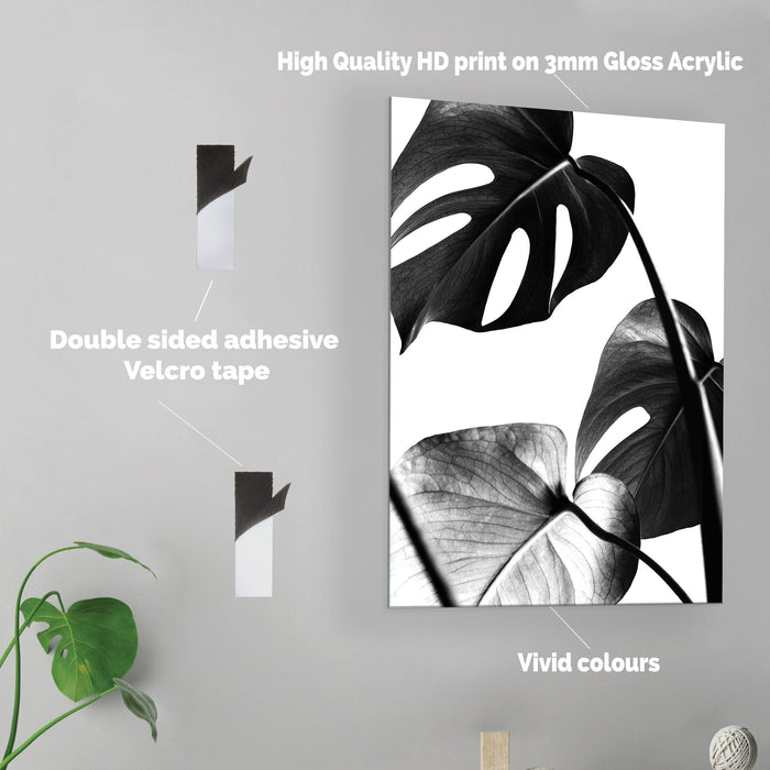 Plant Leaves - Acrylic Wall Art Poster Print
