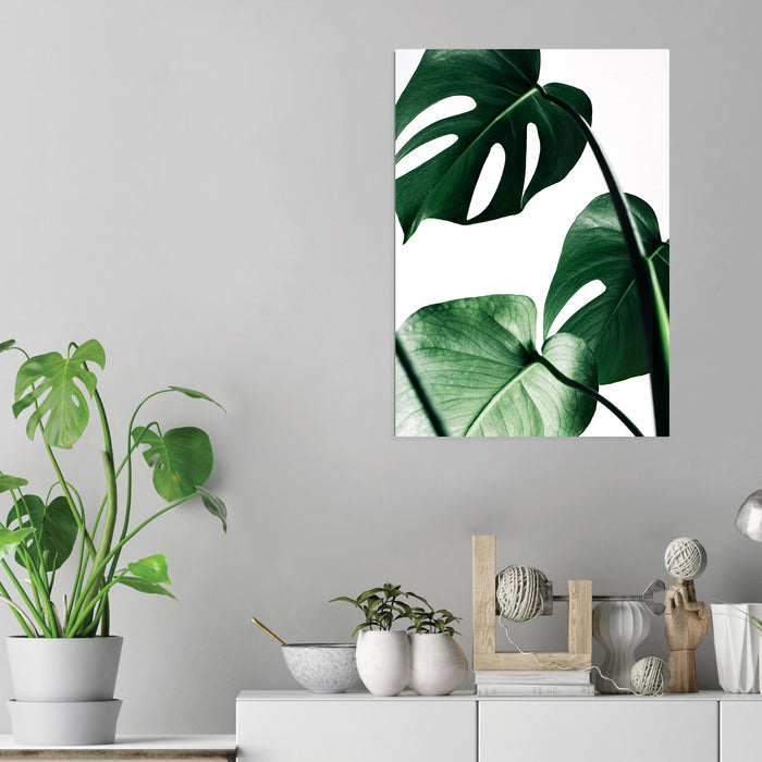 Plant Leaves - Acrylic Wall Art Poster Print