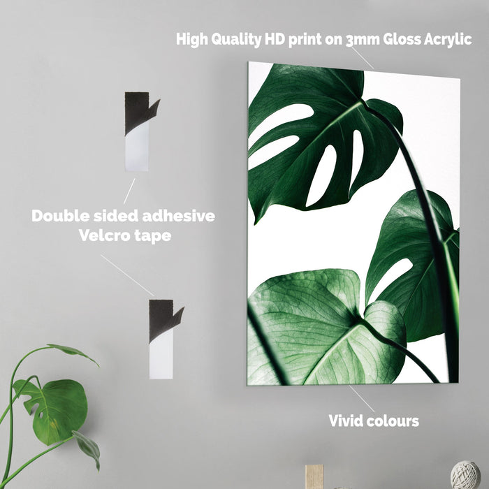 Plant Leaves - Acrylic Wall Art Poster Print