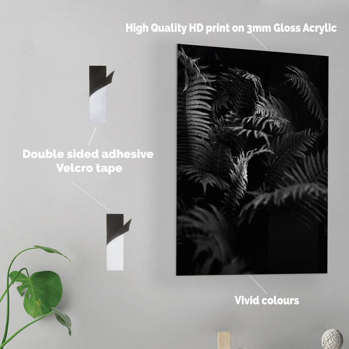 Black White Fern - Acrylic Wall Art Poster Print