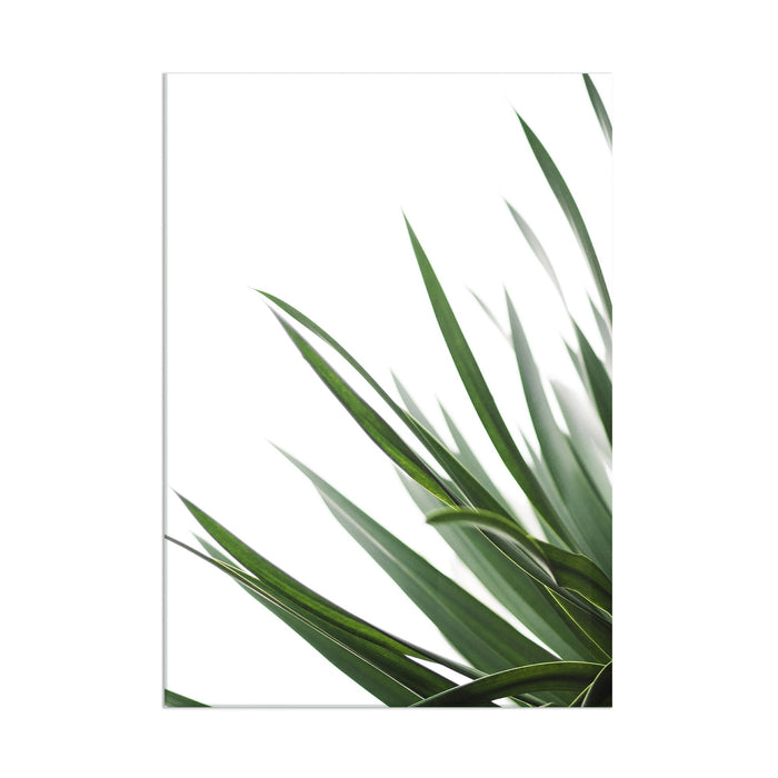 Leaves - Acrylic Wall Art Poster Print