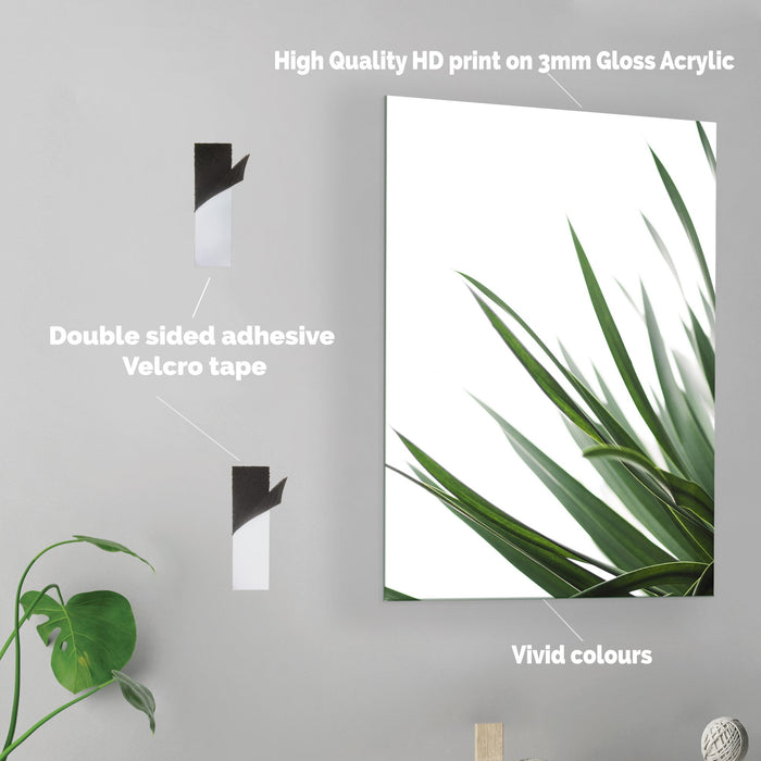 Leaves - Acrylic Wall Art Poster Print