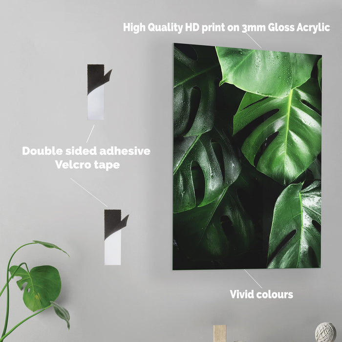 Leaves - Acrylic Wall Art Poster Print