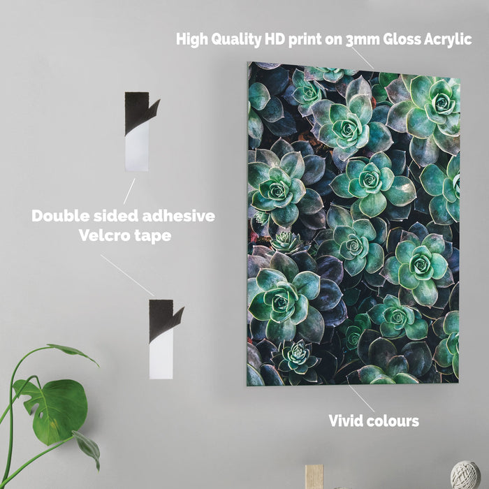 Leaves - Acrylic Wall Art Poster Print