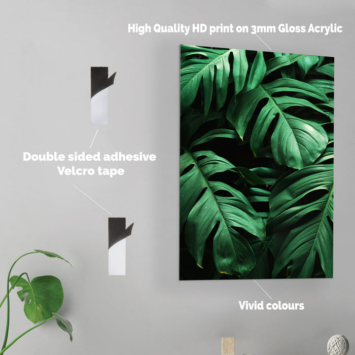 Leaves - Acrylic Wall Art Poster Print