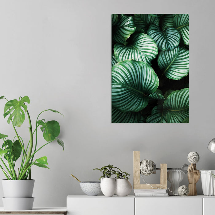 Leaves - Acrylic Wall Art Poster Print