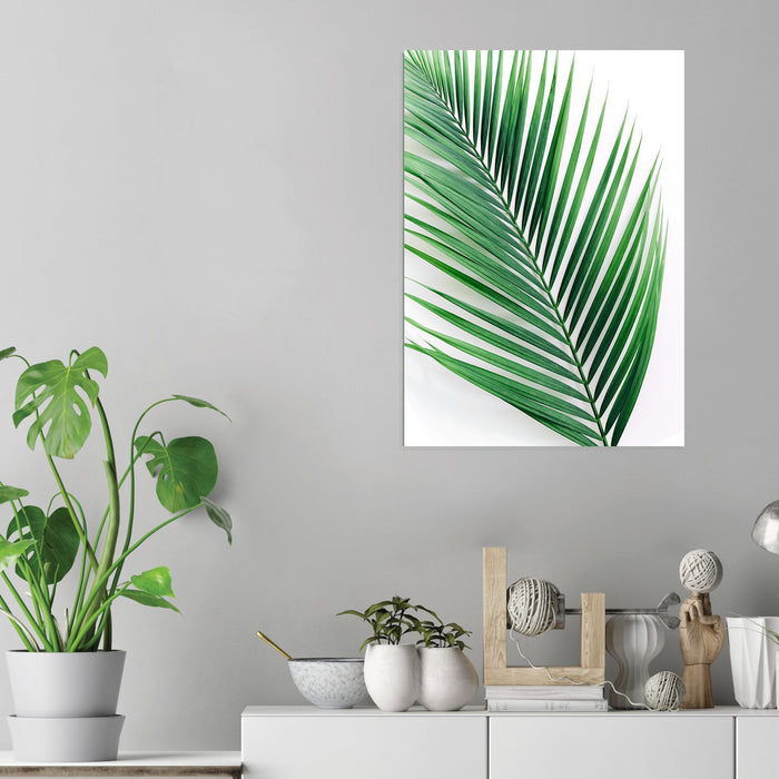 Palm Leaf - Acrylic Wall Art Poster Print