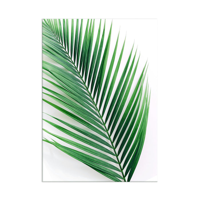 Palm Leaf - Acrylic Wall Art Poster Print