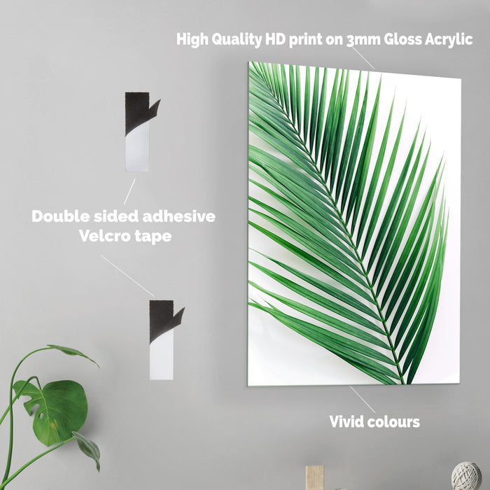 Palm Leaf - Acrylic Wall Art Poster Print